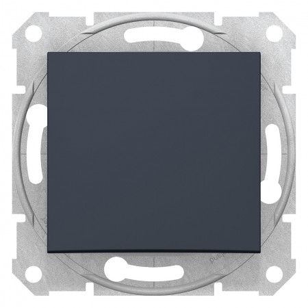 ОДНОКЛАВИШНЫЙ ПРОХОДНОЙ ГРАФИТ SEDNA Schneider Electric (SDN0400170)
